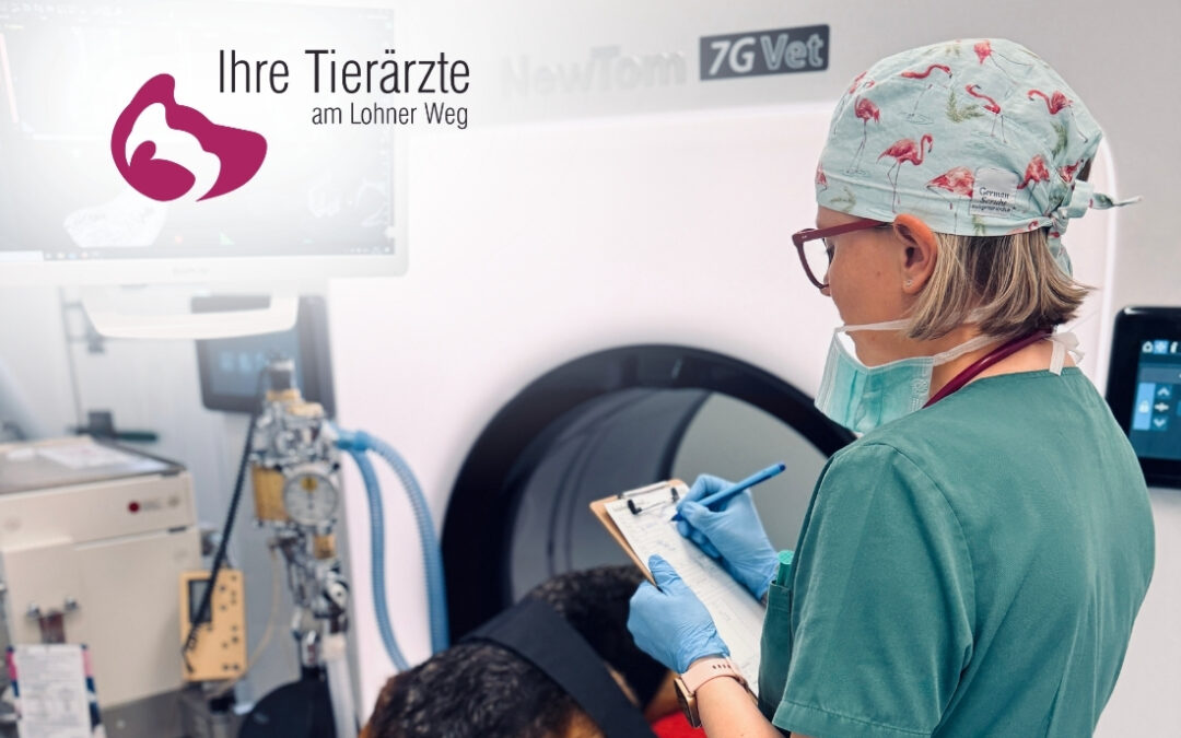 Fachtierärztin/-arzt für Kleintiere, Innere Medizin oder Diplomate (m/w/d) in 30916 Isernhagen