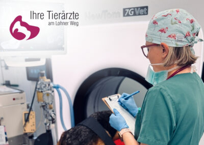 Fachtierärztin/-arzt für Kleintiere, Innere Medizin oder Diplomate (m/w/d)