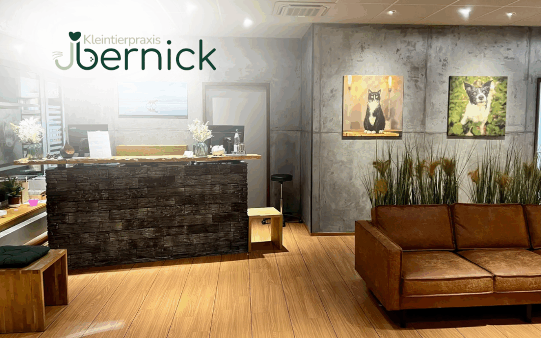 Tiermedizinische Fachangestellte (m/w/d) in 89077 Ulm