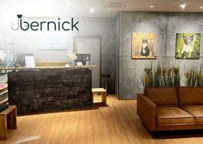 Tiermedizinische Fachangestellte (m/w/d) in 89077 Ulm