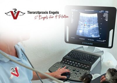 Tierarzt/-ärztin (m/w/d) mit Schwerpunkt Chirurgie in 50823 Köln