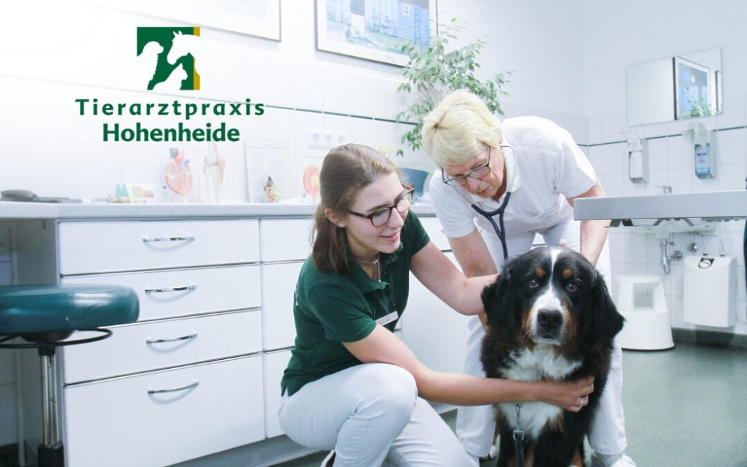 Tierarzt/-ärztin (m/w/d) mit Erfahrung in 27628 Hagen im Bremischen