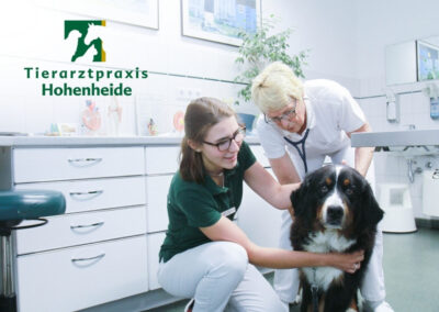 Tierarzt/-ärztin (m/w/d) mit Erfahrung in 27628 Hagen im Bremischen